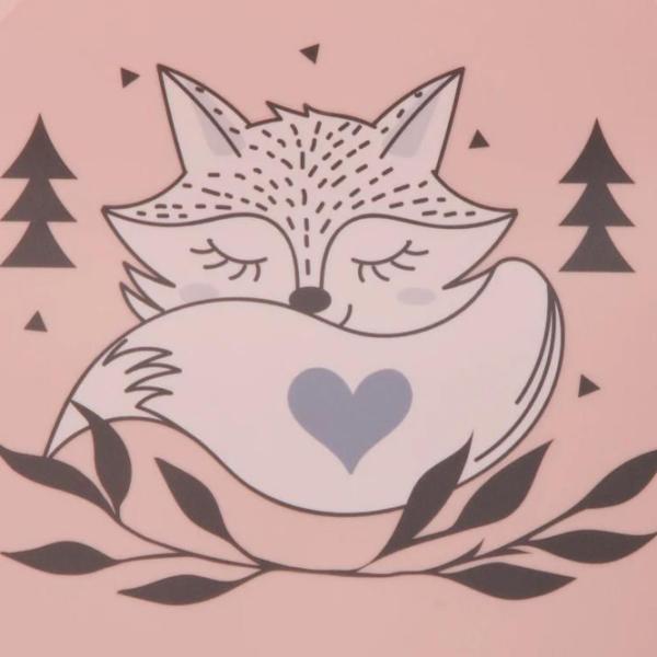 Cădiță pentru bebeluși Tega Baby Fox Pentru fetițe/ 0 - 36 luni/ Pink photo 5