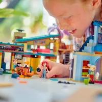 Constructor LEGO Olly and Paisley's Family Houses Casa familiei/ Multicolor photo 11