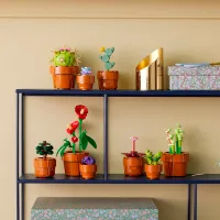 Constructor LEGO Tiny Plants Flori/ Brown photo 7
