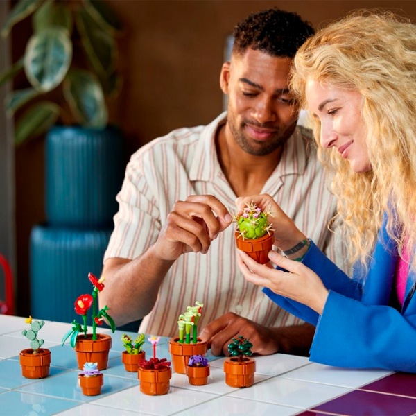 Конструктор LEGO Tiny Plants Цветы/ Brown photo 11