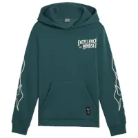 Толстовка для мальчиков Puma Basketball Caution B Green