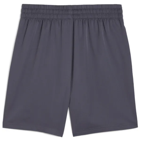Pantaloni scurți pentru bărbați Puma Performance M galactic XL/ Gray photo 2