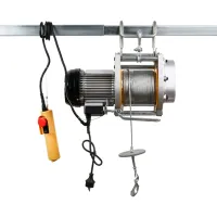 Palan Hagel BH250D Electrică/ 250 kg