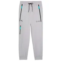 Pantaloni sportivi pentru bărbați Puma Mapf1 Pumatech Pants S/ Gray