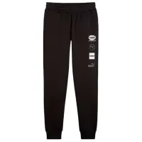 Спортивные брюки для мужчин Puma Power Graphic Sweatpants Fl Cl L/ Black