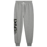 Спортивные брюки для мужчин Puma Posterize 2.0 Pant medium XXL/ Серый