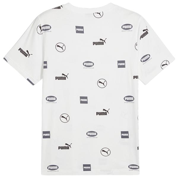 Футболка для мужчин Puma Power Aop Tee 100% хлопок/ White photo 3