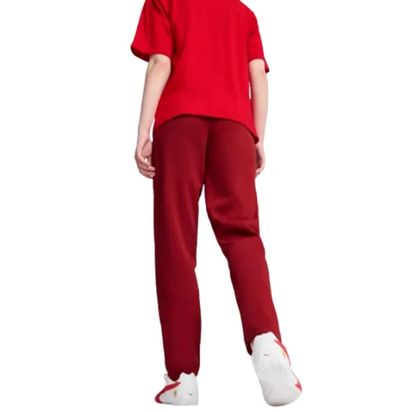 Спортивные брюки для женщин Puma Ferrari Style Sweat Pants Wmn XL/ Красный photo 2