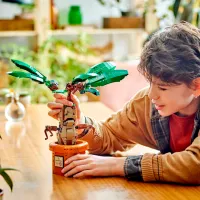 Constructor LEGO Mandrake Clasic/ Green photo 6