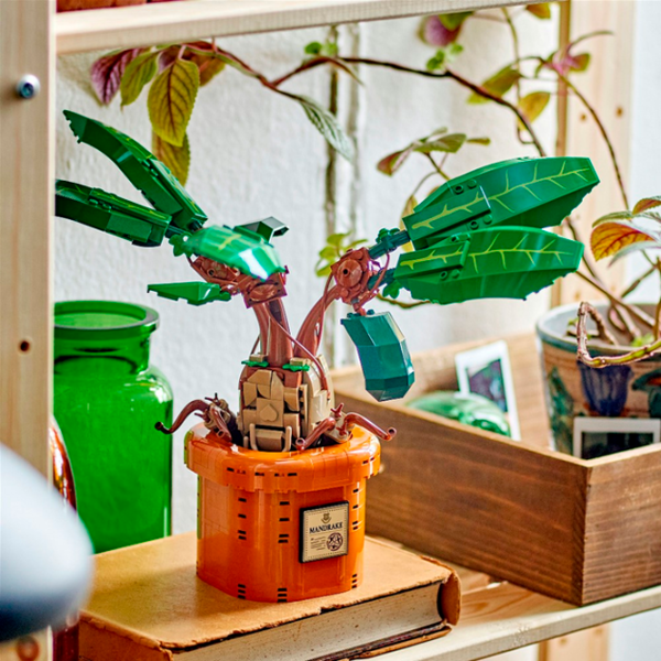 Constructor LEGO Mandrake Clasic/ Green photo 7