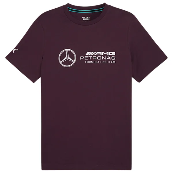 Футболка для мужчин Puma Mapf1 Ess Logo Tee 100% хлопок/ Cлива photo 1