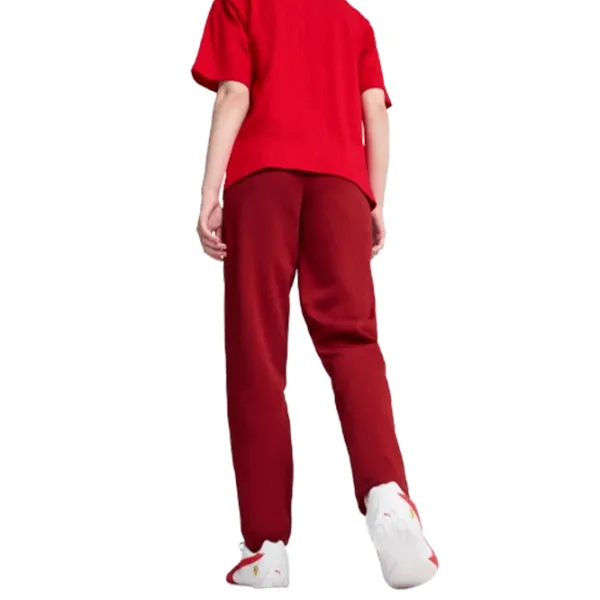 Спортивные брюки для женщин Puma Ferrari Style Sweat Pants Wmn XS/ Красный photo 3 Спортивные брюки для женщин Puma Ferrari Style Sweat Pants Wmn XS/ Красный photo 3