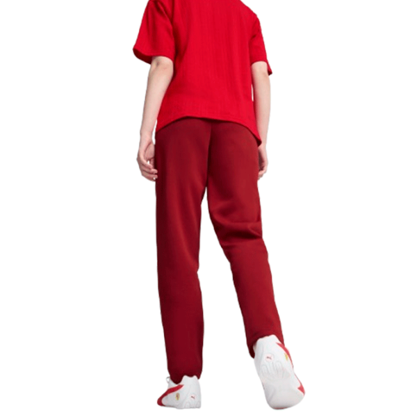 Спортивные брюки для женщин Puma Ferrari Style Sweat Pants Wmn XS/ Красный photo 3 Спортивные брюки для женщин Puma Ferrari Style Sweat Pants Wmn XS/ Красный photo 3