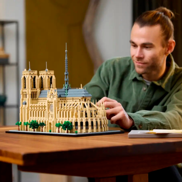 Конструктор LEGO Notre-Dame Классический/ Brown photo 12