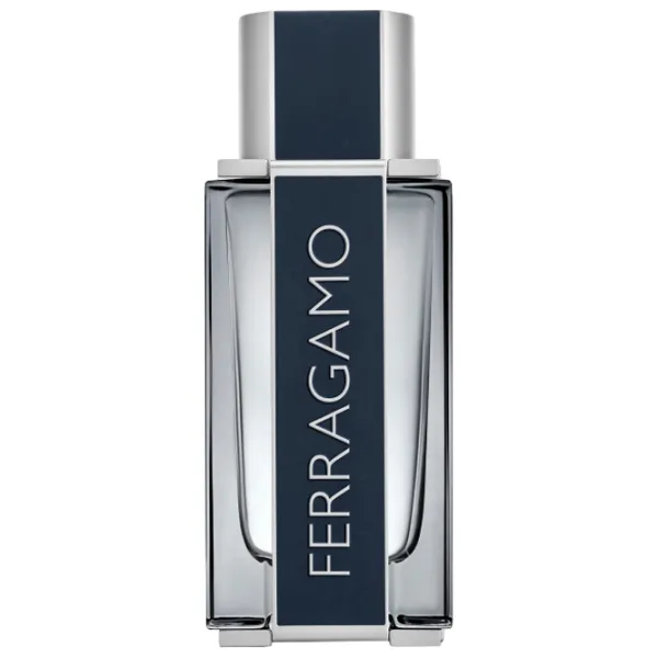 Parfum pentru bărbați Salvatore Ferragamo Ferragamo Apă de toaletă / Fougere photo 2