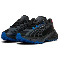 Кроссовки для мужчин Puma Bmw Mms Spirex 40/ Black