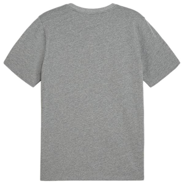 Tricou pentru bărbați Puma Teamgoal Casuals Tee 100% bumbac/ Gray photo 2