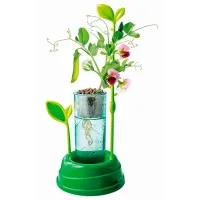 Set de creație Clementoni Știință & Joacă Grădina Mea 1026-50906 8+/ Multicolor Green photo 3