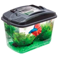 Acvariu Aquael Betta Kit 114563 3 l/ Transparent
