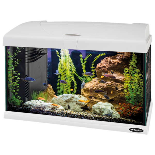 Аквариум Ferplast Capri 50 LED 40 л/ Белый photo 1