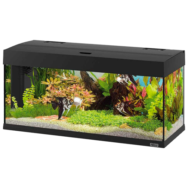 Acvariu Ferplast Dubai 100 Led 190 l/ Black photo 1 Acvariu Ferplast Dubai 100 Led 190 l/ Black photo 1