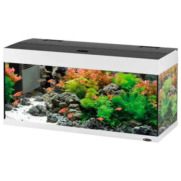 Аквариум Ferplast Dubai 80 Led 125 л/ Белый photo 1