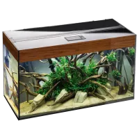 Аквариум Aquael Glossy Walnut Rectangular 114194 215 л/ Орех