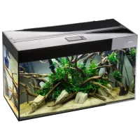 Acvariu Aquael Glossy 112648 125 l/ Transparent