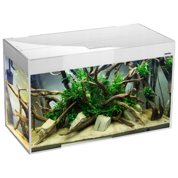 Acvariu Aquael Glossy Rectangular 215 l/ White photo 1 Acvariu Aquael Glossy Rectangular 215 l/ White photo 1