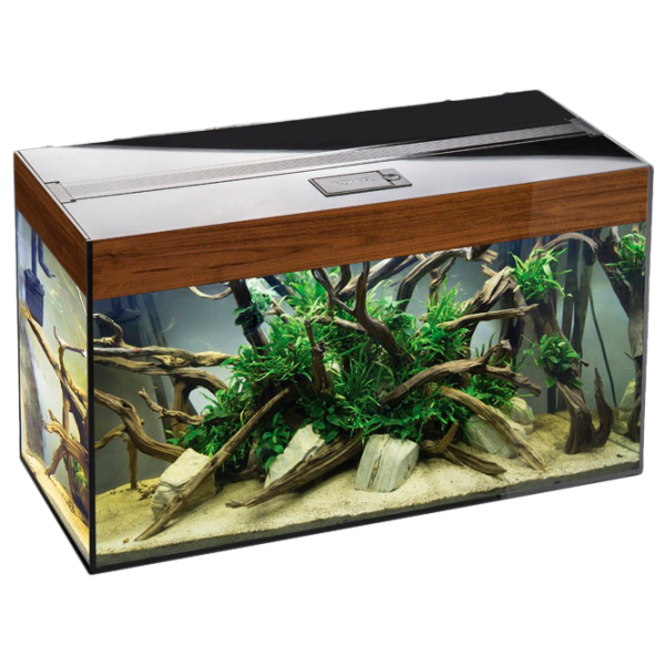 Acvariu Aquael Glossy Rectangular 114194 215 l/ Nuc photo 1