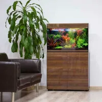 Аквариум Aquael Glossy Rectangular 114194 215 л/ Орех photo 3