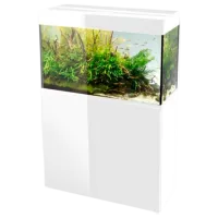 Acvariu Aquael ST 100 D&N 215 l/ White