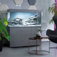 Аквариум Aquael ST 100 D&N 215 л/ Серый photo 3