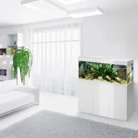 Аквариум Aquael ST 80 121499 125 л/ Белый photo 3