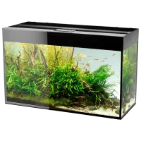 Acvariu Aquael Glossy 112649 215 l/ Black