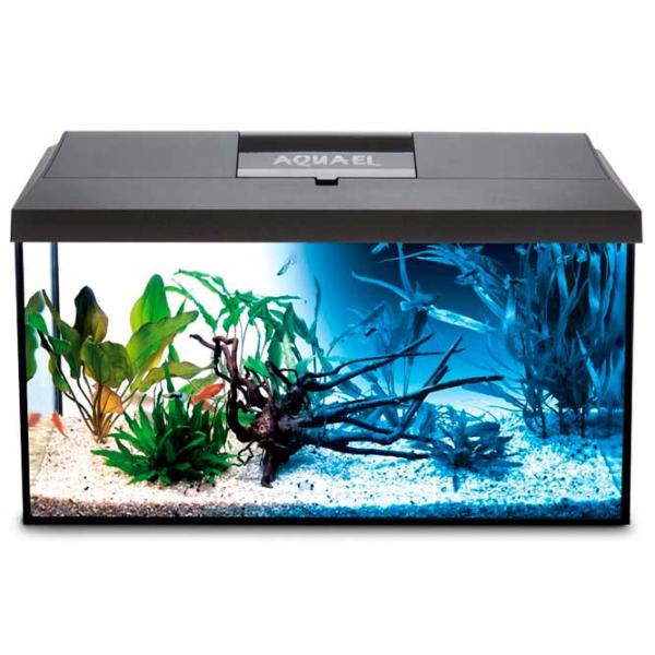 Acvariu Aquael Set Leddy Plus PAP-60 D&N LED 54 l/ Black photo 2 Acvariu Aquael Set Leddy Plus PAP-60 D&N LED 54 l/ Black photo 2