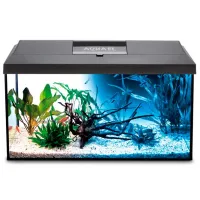 Аквариум Aquael Set Leddy Plus PAP-60 D&N LED 54 л/ Черный photo 2