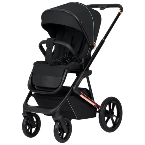 Cărucior pentru copil Carrello Sigma 2 in 1 2024 Black photo 3