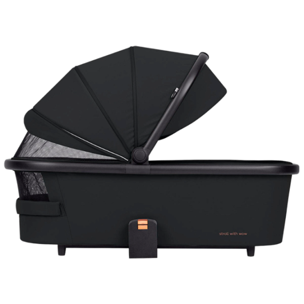 Cărucior pentru copil Carrello Sigma 2 in 1 2024 Black photo 5