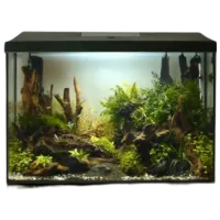 Acvariu Aquael SET LEDDY 60 XL D&N 2.0 72 l/ Black