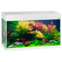 Acvariu Aquael OPTI SET 125 2.0 125 l/ White