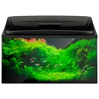 Аквариум Aquael Aqua4 Family Rectangular 112 л/ Черный