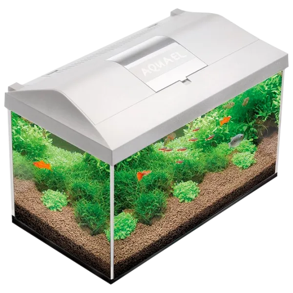 Acvariu Aquael Leddy Plus PAP-75 LED 105 l/ White photo 1