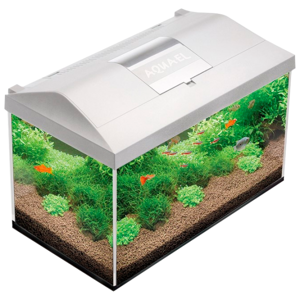 Acvariu Aquael Leddy Plus PAP-75 LED 105 l/ White photo 1