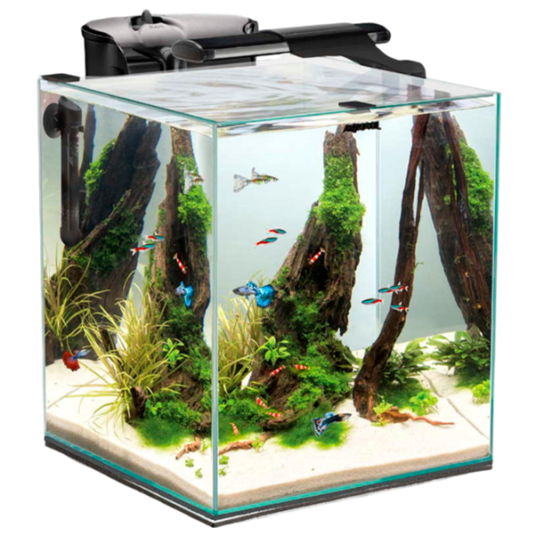 Аквариум Aquael Fish&Shrimp Set Duo 49 л/ Прозрачный photo 1