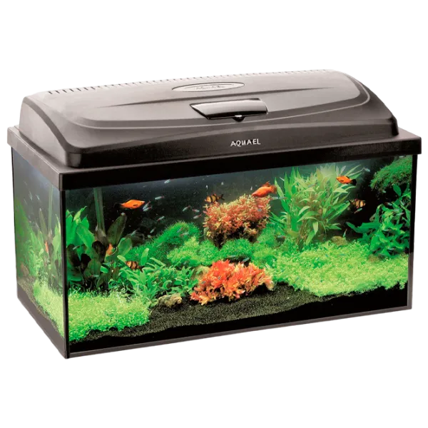 Acvariu Aquael AQUA4FAMILY 80 OVAL C 102 l/ Black photo 1 Acvariu Aquael AQUA4FAMILY 80 OVAL C 102 l/ Black photo 1