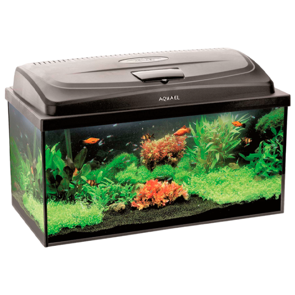 Acvariu Aquael AQUA4FAMILY 80 OVAL C 102 l/ Black photo 1 Acvariu Aquael AQUA4FAMILY 80 OVAL C 102 l/ Black photo 1