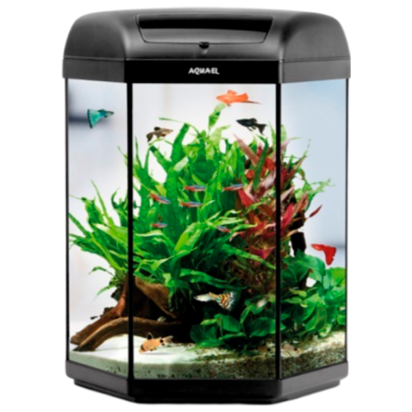 Аквариум Aquael Hexa Set II LT 20 л/ Черный photo 1 Аквариум Aquael Hexa Set II LT 20 л/ Черный photo 1