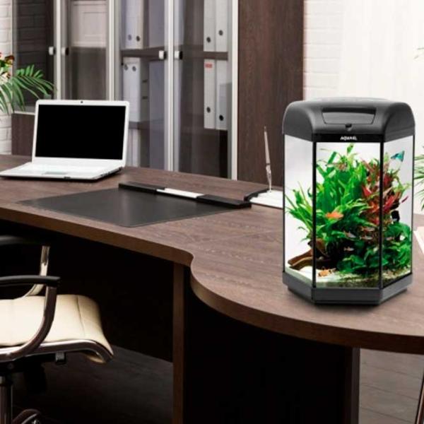 Аквариум Aquael Hexa Set II LT 20 л/ Черный photo 2 Аквариум Aquael Hexa Set II LT 20 л/ Черный photo 2
