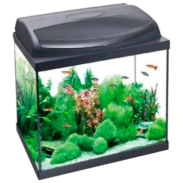 Аквариум Aquael Pearl High 60 Rectangular 90 л/ Черный photo 1 Аквариум Aquael Pearl High 60 Rectangular 90 л/ Черный photo 1